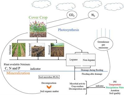 Regulation of Soil Microbial Community Structure and Biomass to Mitigate Soil Greenhouse Gas Emission